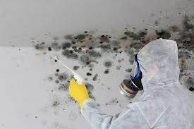 Best Mold Remediation for Rental Properties  in Southeast Arcadia, FL